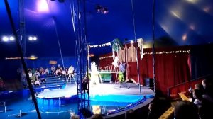 Цирк на воде WaterLand - выступление в городе Берёза цирка шапито Круиз