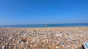 Дикари с кошкой 🐈 на Чёрном море🌊 Отдых  с палаткой.  Крым 🌞Вязовая роща август 2023г