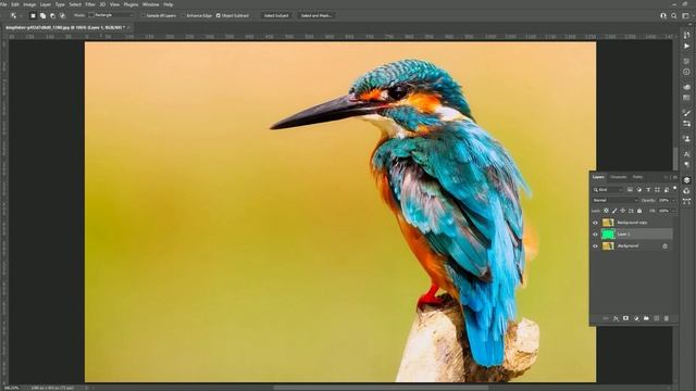how to use object selection tool in Photoshop to remove background смотреть онлайн
