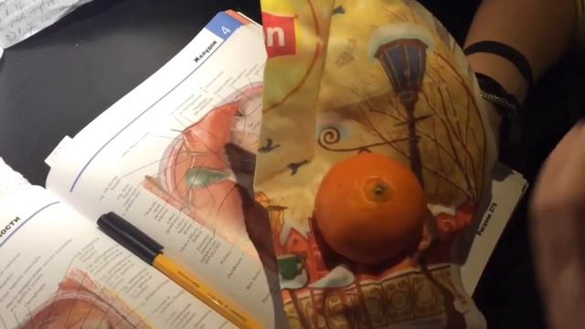 2 18 Брюшина Морфофункциональные особенности, аномалии развития, pt 1 смотреть онлайн