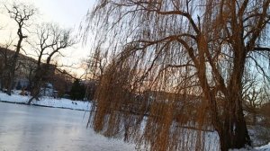 Декабрьский парк на закате солнца