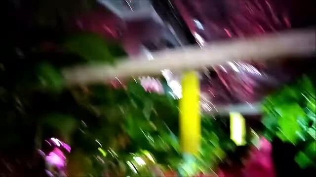 Светодиодные фитолампы. смотреть онлайн