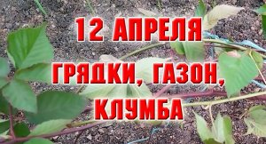 12 апреля. На даче, грядки, газон, клумба