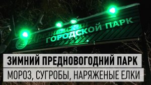 Дрезненский городской парк - зимний, снежный, предновогодний