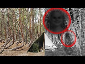 Экспедиция: Аномальная зона, ПРИЗРАК СНЯТ НА КАМЕРУ Expedition: Anomalous Z GHOST CAPTURED ON CAMERA