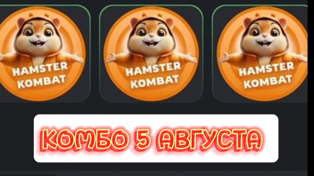Hamster kombat комбо игра как играть