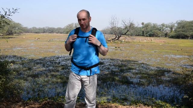 Фоторюкзак Lowepro Flipside 400 AW. Обзор и отзыв владельца смотреть онлайн