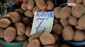 Какую картошку брать на зиму? Гид по картошке