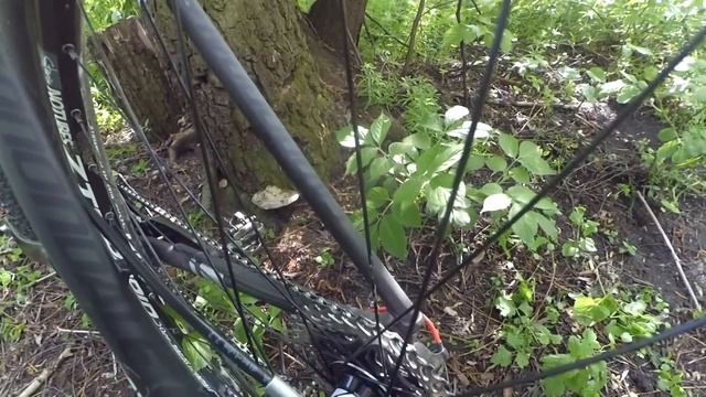 Cannondale F29 Carbon Lefty смотреть онлайн