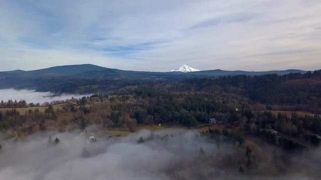 Из богатой машины на крыльцо сельской больницы выкинули гробик и уехали. Открыв его врачи потеряли. смотреть онлайн