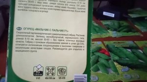 Партенокарпики, гибриды женского цветения,сортовые- разнообразие семян огурцов
