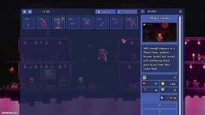 Террария ДЕНЕЖНОЕ КОРЫТО (2023) (БЫСТРО И ПРОСТО) | Террария Как найти и сделать Денежное Корыто