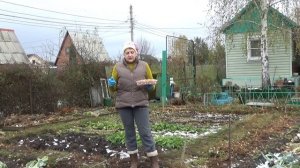 Посадка лука-севка поздней осенью