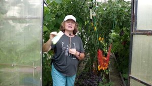 392_Армянский огурец. Ума не приложу, что с ним делать…