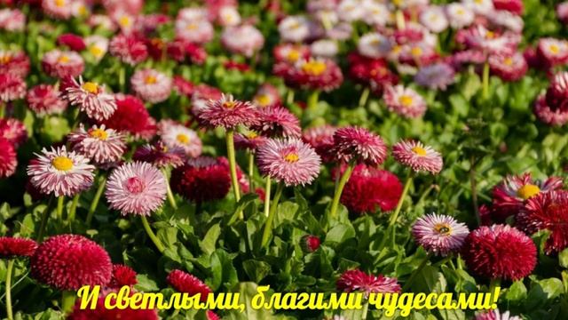 ЖЕЛАЕМ ВАМ ХОРОШЕГО ДНЯ И ОТЛИЧНОГО НАСТРОЕНИЯ!/КРАСИВАЯ ЛЕТНЯЯ МУЗЫКАЛЬНАЯ ОТКРЫТКА