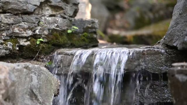 Лес ручей пение птиц / Звуки леса, пение птиц, журчание ручья / Лесной ручей, пение птиц