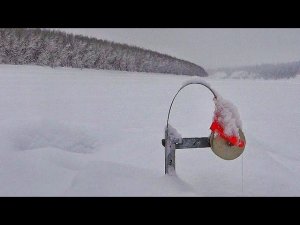 НА ЖЕРЛИЦЫ СССР! БЕШЕННЫЙ ЖОР! Рыбалка в Якутии, первый лёд