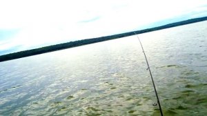 Ловля окуня на спиннинг. Окунь вылетает один за одним. Жор окуня на  Котовском водохранилище.