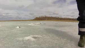 Весенняя рыбалка карася по льду.