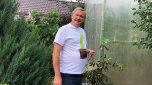 Выращиваем хурму в Воронеже, эксперимент.