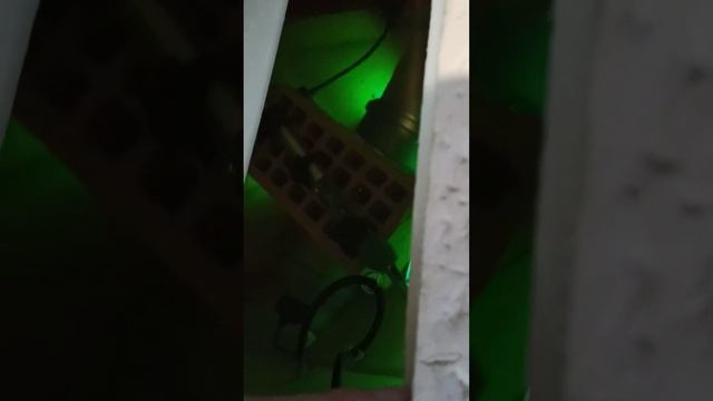 10 ноября 2022 г. смотреть онлайн