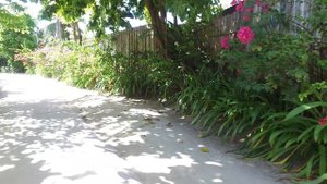 Отель KURUMBA MALDIVES 5* (Мальдивы) самый честный обзор от ht.kz
