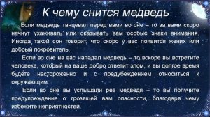 К чему снится Медведь – толкование сна по Соннику
