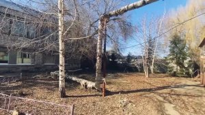 Балаково, все так плохо как на фото ? Что посмотреть и где поесть в Балаково ?