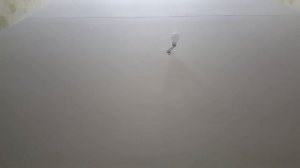 Как подключить лампочку без патрона