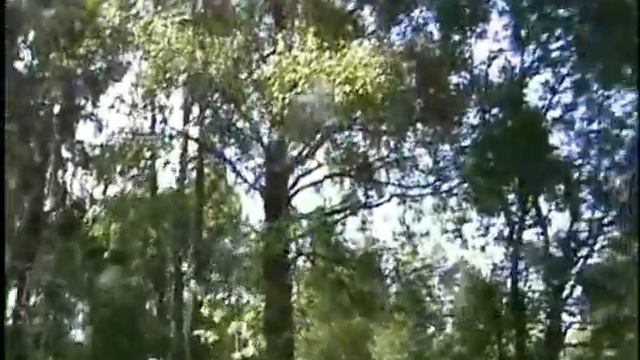 Золотые нити. Часть 13. смотреть онлайн