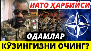 НАТО ҲАРБИЙСИ ҲАҚИҚАТНИ ГАПИРИБ БЕРДИ