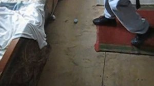 арт хаус дача