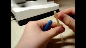 Сенная палочка(Bacillus subtilis)