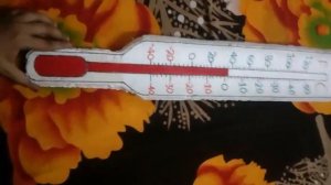 Thermacol Thermometer made by Afreen Qureshi.