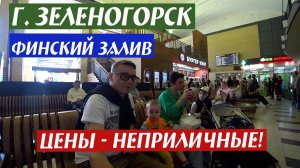 г. Зеленогорск, Финский залив, цены - неприличные!