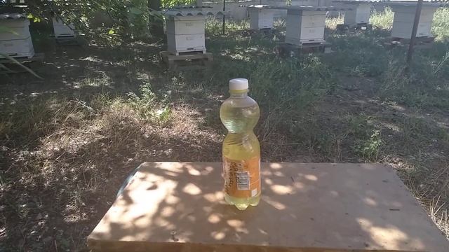 Концентрат масла полыни.Меры предосторожности и мои рекомендации по применению. смотреть онлайн