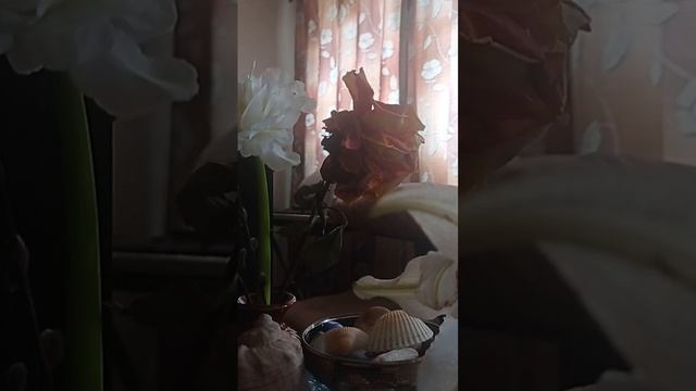 Биография Максимилиана Волошина. Часть 1.