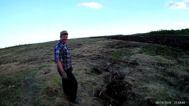 Разработка залежных земель