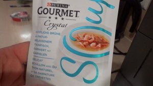 Уход за британцем. Чем кормить кота?