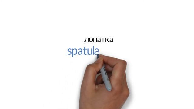 Лексика английского на тему КУХНЯ