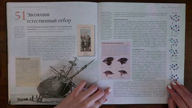 АСМР-философия. Эволюция: естественный отбор. смотреть онлайн