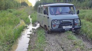 Избушка в тайге