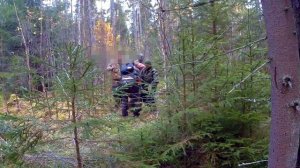 ЗАГОННАЯ ОХОТА НА КАБАНА