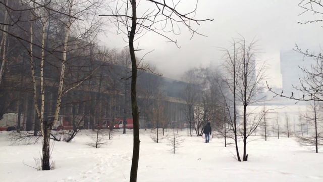 Пожар в библиотеке ИНИОН РАН