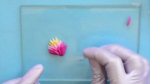 Мастер-класс по изготовлению броши  из полимерной глины