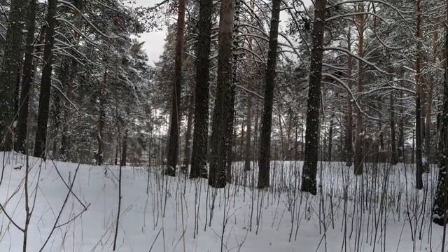 Сборник страшных рассказов - Страшные истории на ночь. Пять годных страшилок на ночь.