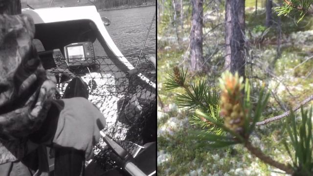 Охота за кумжей на Верхнетуломском смотреть онлайн