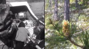 Охота за кумжей на Верхнетуломском