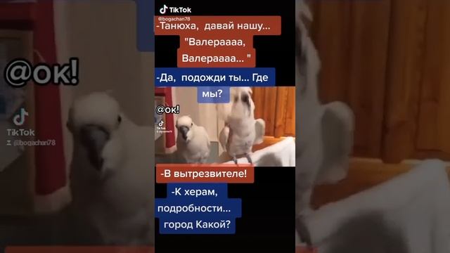 Смотреть все классно 51. 2023
