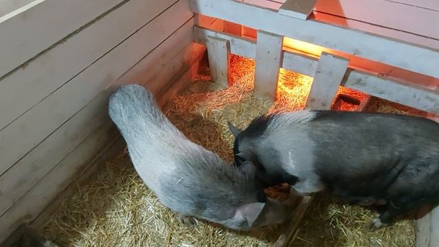 не всегда можно помочь смотреть онлайн